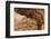 Ephemeral Beauty-5-Moises Levy-Framed Photographic Print