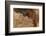 Ephemeral Beauty-6-Moises Levy-Framed Photographic Print