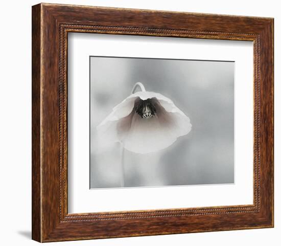 Ephemeral Beauty-null-Framed Art Print