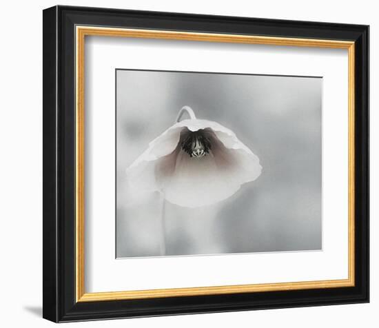 Ephemeral Beauty-null-Framed Art Print