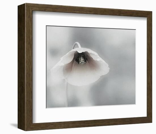 Ephemeral Beauty-null-Framed Art Print