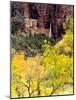 Ephemeral Waterfall, Zion National Park, Utah, USA-Scott T. Smith-Mounted Photographic Print