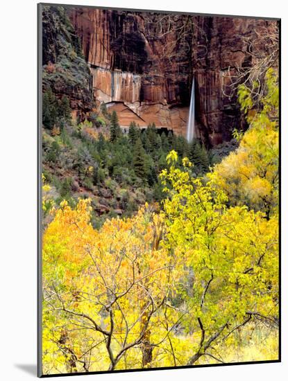 Ephemeral Waterfall, Zion National Park, Utah, USA-Scott T. Smith-Mounted Photographic Print