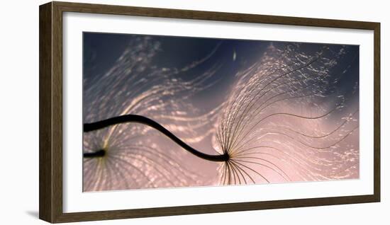 Ephemeral Waves-Thierry Dufour-Framed Photographic Print