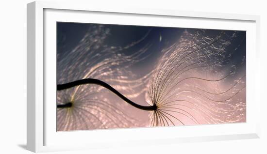 Ephemeral Waves-Thierry Dufour-Framed Photographic Print