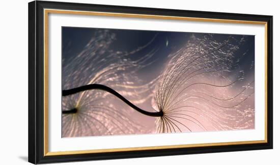 Ephemeral Waves-Thierry Dufour-Framed Photographic Print