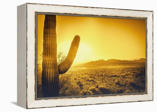 Epic Desert Sunset over Valley of the Sun, Phoenix, Scottsdale, Arizona with Saguaro Cactus in Fore-BCFC-Framed Premier Image Canvas