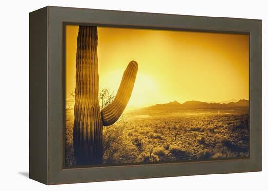 Epic Desert Sunset over Valley of the Sun, Phoenix, Scottsdale, Arizona with Saguaro Cactus in Fore-BCFC-Framed Premier Image Canvas