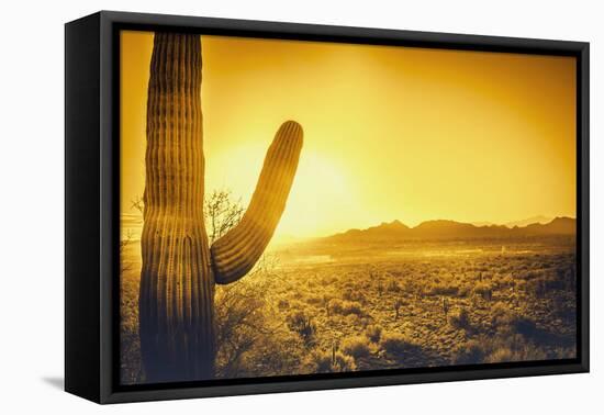 Epic Desert Sunset over Valley of the Sun, Phoenix, Scottsdale, Arizona with Saguaro Cactus in Fore-BCFC-Framed Premier Image Canvas