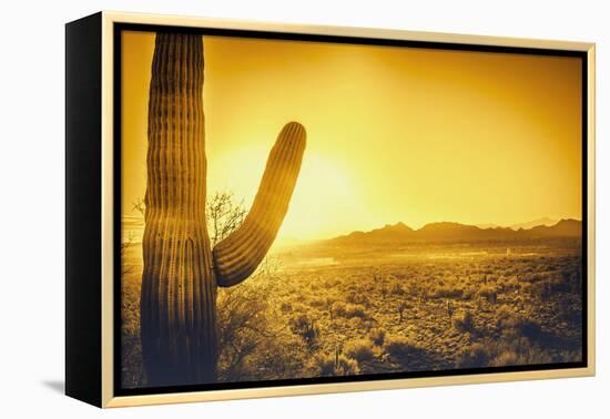 Epic Desert Sunset over Valley of the Sun, Phoenix, Scottsdale, Arizona with Saguaro Cactus in Fore-BCFC-Framed Premier Image Canvas