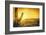 Epic Desert Sunset over Valley of the Sun, Phoenix, Scottsdale, Arizona with Saguaro Cactus in Fore-BCFC-Framed Photographic Print