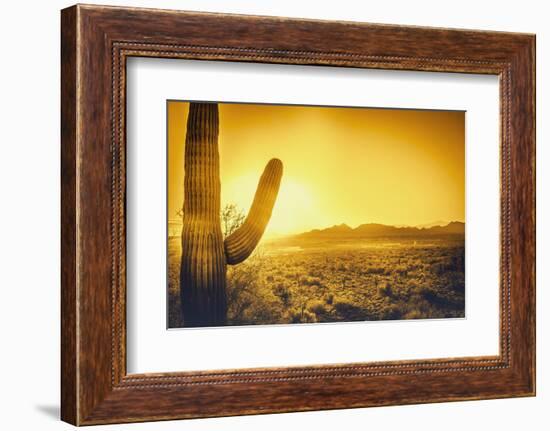 Epic Desert Sunset over Valley of the Sun, Phoenix, Scottsdale, Arizona with Saguaro Cactus in Fore-BCFC-Framed Photographic Print