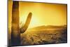 Epic Desert Sunset over Valley of the Sun, Phoenix, Scottsdale, Arizona with Saguaro Cactus in Fore-BCFC-Mounted Photographic Print