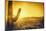 Epic Desert Sunset over Valley of the Sun, Phoenix, Scottsdale, Arizona with Saguaro Cactus in Fore-BCFC-Mounted Photographic Print