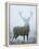 Epic-David Tipling-Framed Stretched Canvas