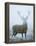 Epic-David Tipling-Framed Stretched Canvas