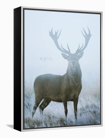 Epic-David Tipling-Framed Stretched Canvas