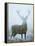 Epic-David Tipling-Framed Stretched Canvas
