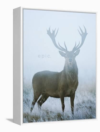 Epic-David Tipling-Framed Stretched Canvas