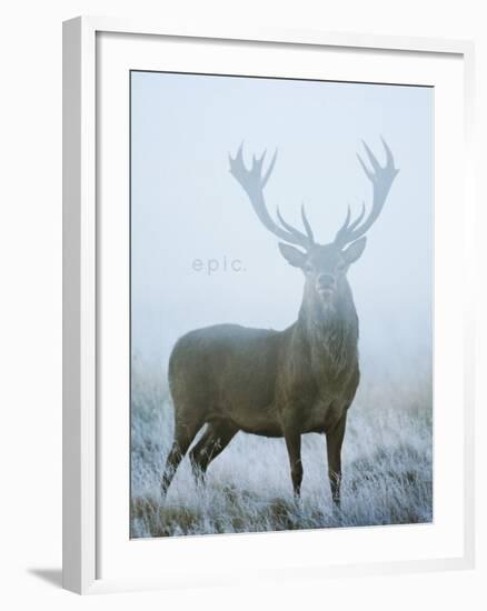 Epic-David Tipling-Framed Art Print