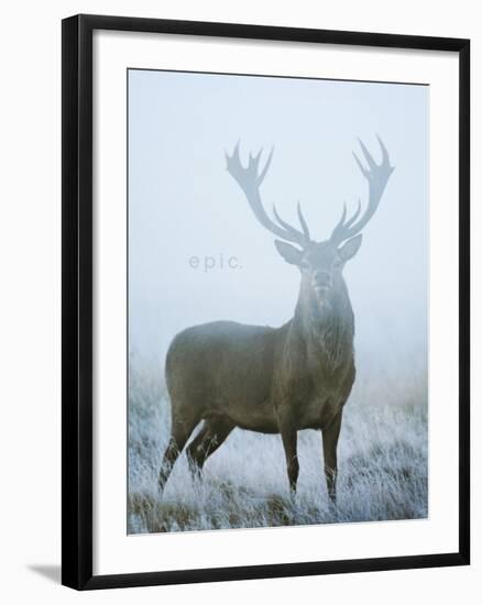 Epic-David Tipling-Framed Art Print