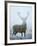 Epic-David Tipling-Framed Art Print