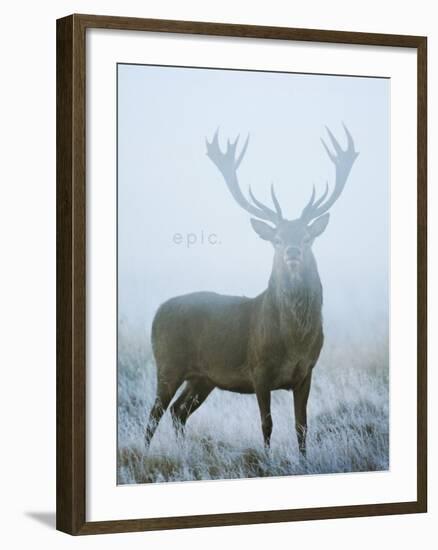 Epic-David Tipling-Framed Art Print