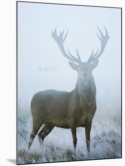 Epic-David Tipling-Mounted Art Print