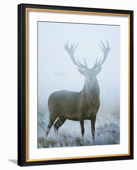 Epic-David Tipling-Framed Art Print