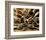 Epices at Cuilleres-Kerth-Framed Art Print