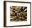 Epices at Cuilleres-Kerth-Framed Art Print