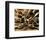 Epices at Cuilleres-Kerth-Framed Art Print