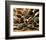 Epices at Cuilleres-Kerth-Framed Art Print