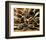 Epices at Cuilleres-Kerth-Framed Art Print