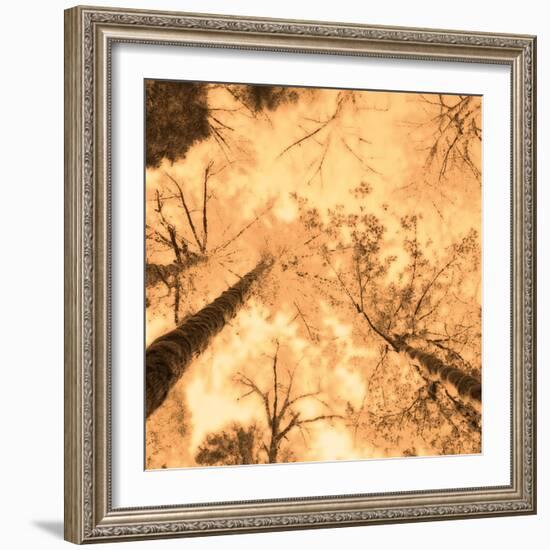 Epiphany I-Marvin Pelkey-Framed Art Print