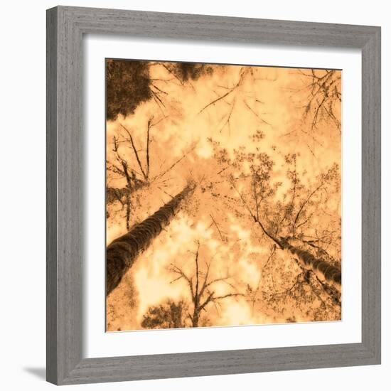 Epiphany I-Marvin Pelkey-Framed Art Print