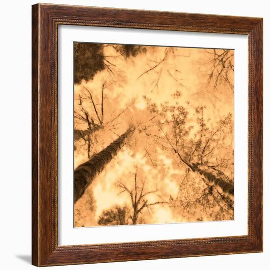 Epiphany I-Marvin Pelkey-Framed Art Print