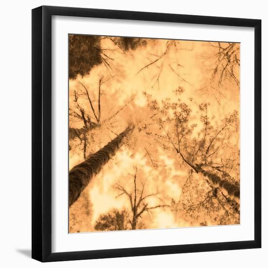 Epiphany I-Marvin Pelkey-Framed Art Print