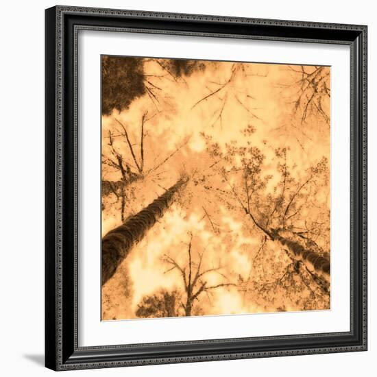 Epiphany I-Marvin Pelkey-Framed Art Print