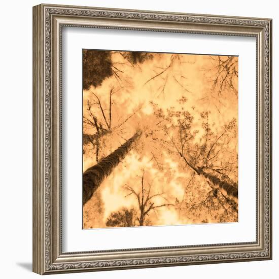 Epiphany I-Marvin Pelkey-Framed Art Print