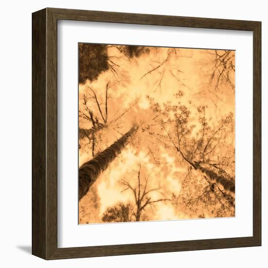 Epiphany I-Marvin Pelkey-Framed Art Print