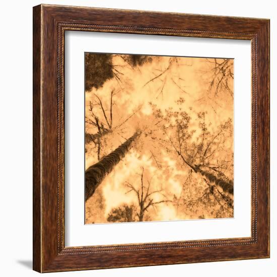 Epiphany I-Marvin Pelkey-Framed Art Print