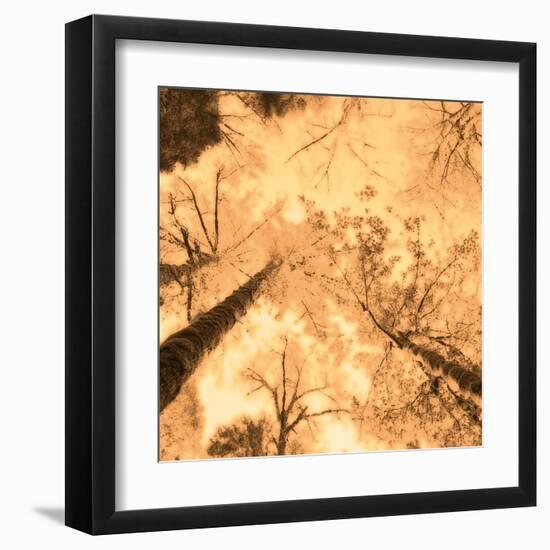 Epiphany I-Marvin Pelkey-Framed Art Print