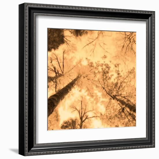 Epiphany I-Marvin Pelkey-Framed Art Print