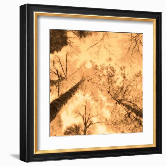 Epiphany I-Marvin Pelkey-Framed Art Print