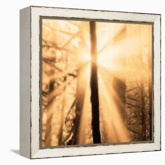 Epiphany II-Marvin Pelkey-Framed Stretched Canvas