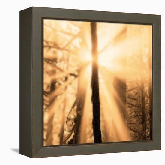 Epiphany II-Marvin Pelkey-Framed Stretched Canvas
