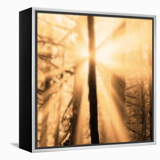 Epiphany II-Marvin Pelkey-Framed Stretched Canvas