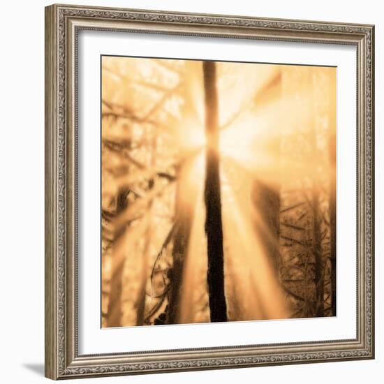 Epiphany II-Marvin Pelkey-Framed Art Print