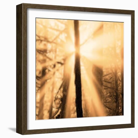 Epiphany II-Marvin Pelkey-Framed Art Print